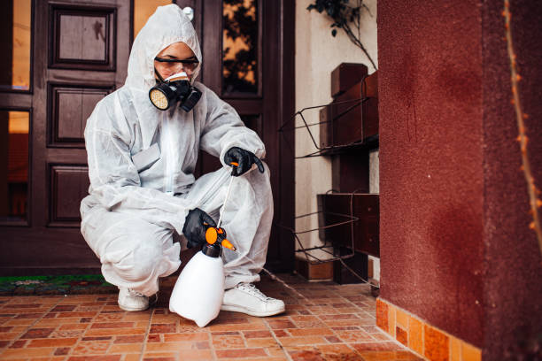 Reliable Bed Bug Control contractor in Coarsegold, CA by Nex Pest Control